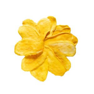 انبه خشک