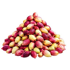 پسته تازه