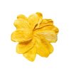 dried-mango
