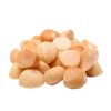 macadamia
