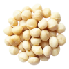 مغزیجات